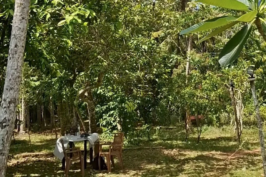 Sede del ritiro ayurvedico in Sri Lanka, tra natura e silenzio