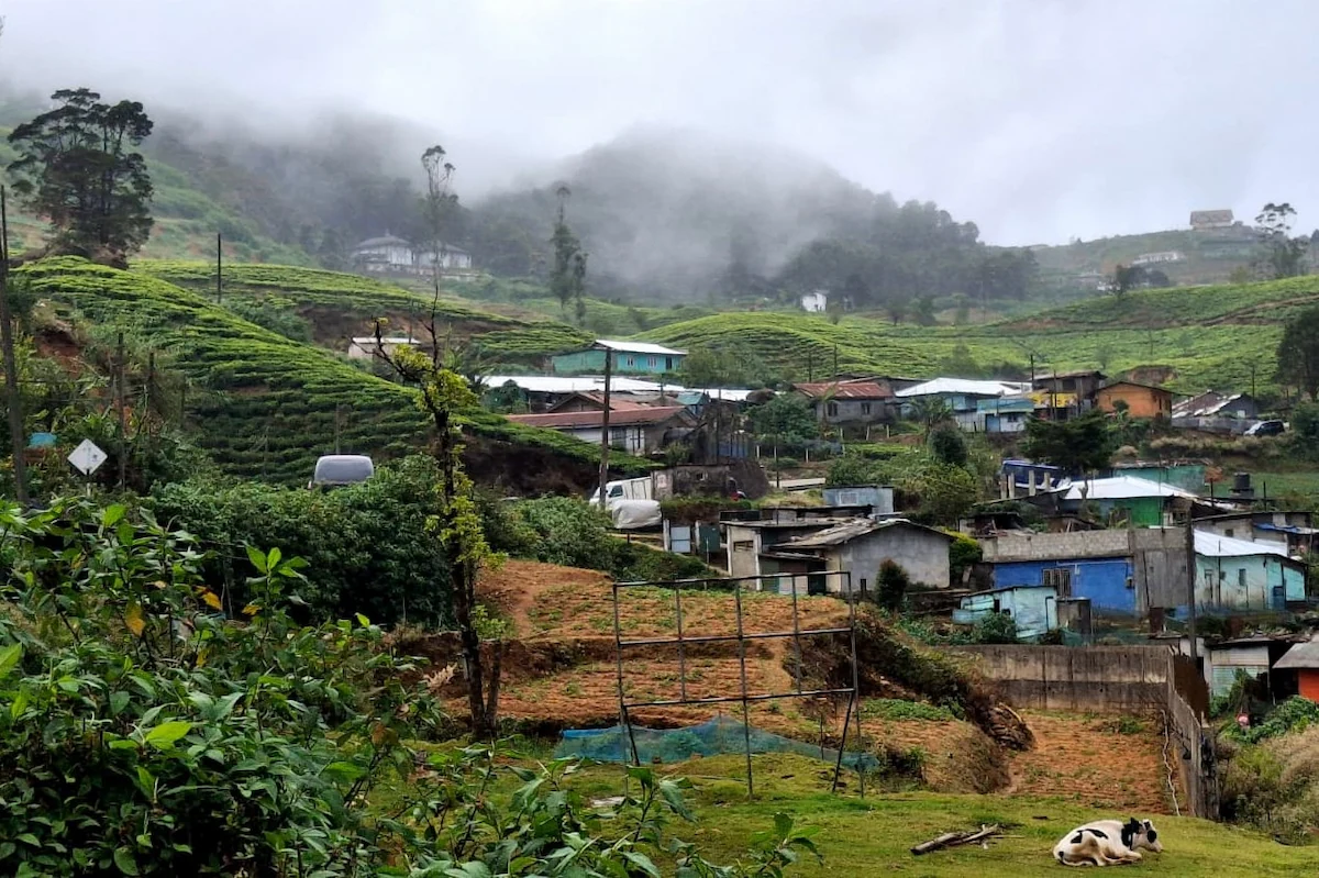 Nuwara Eliya, villaggio tra le piantagioni di té a 1800 metri di altitudine